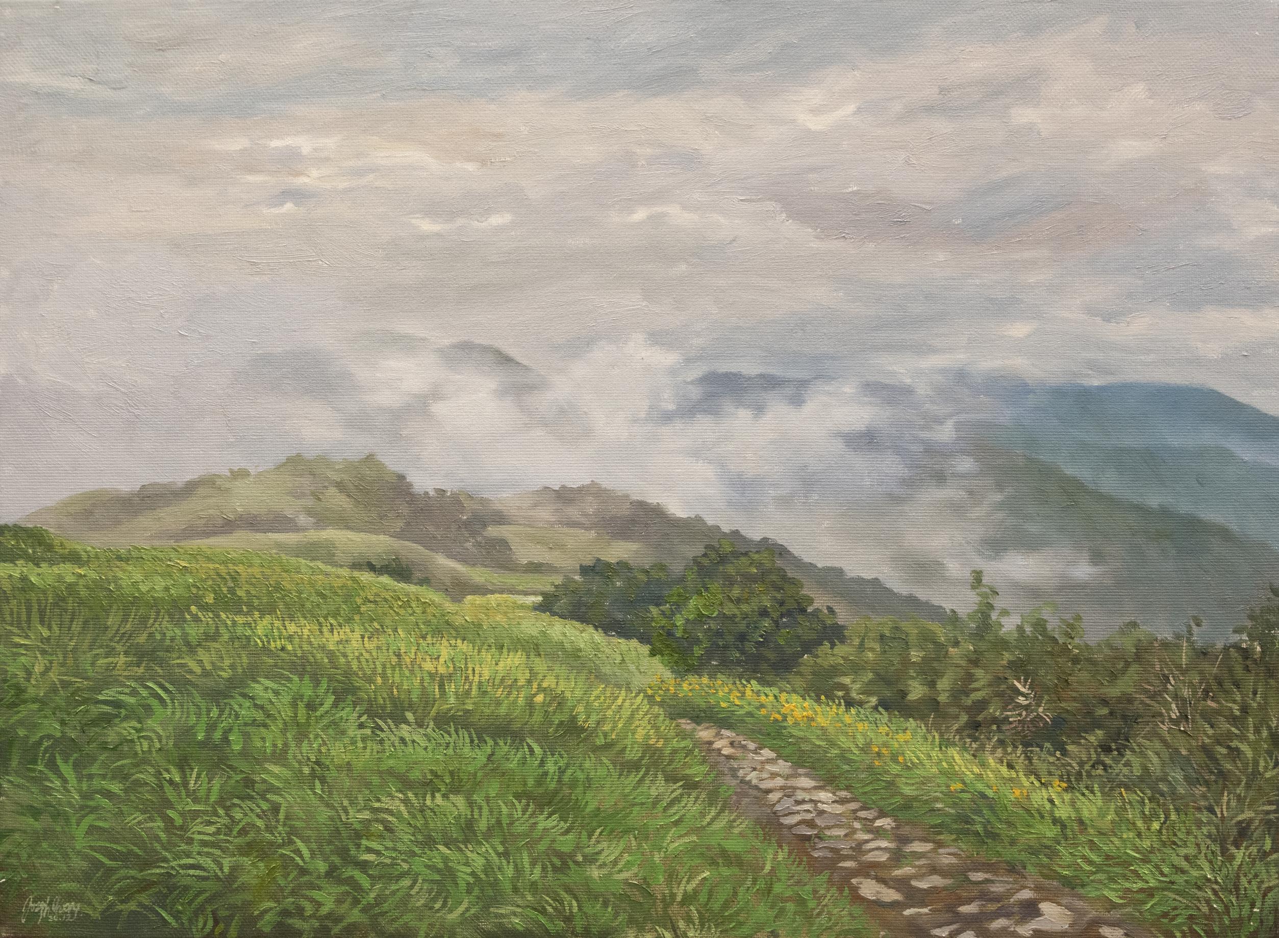 六十石山晨霧
